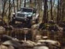 Jeep Gladiator 2.5 Inch Diesel Front Coil Springs 2021-2023 JT Clayton Off Road